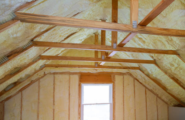Best Insulation for Specific Applications in Waipio, HI