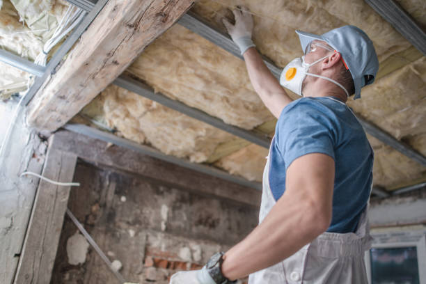 Best Insulation Maintenance and Repair in Waipio, HI